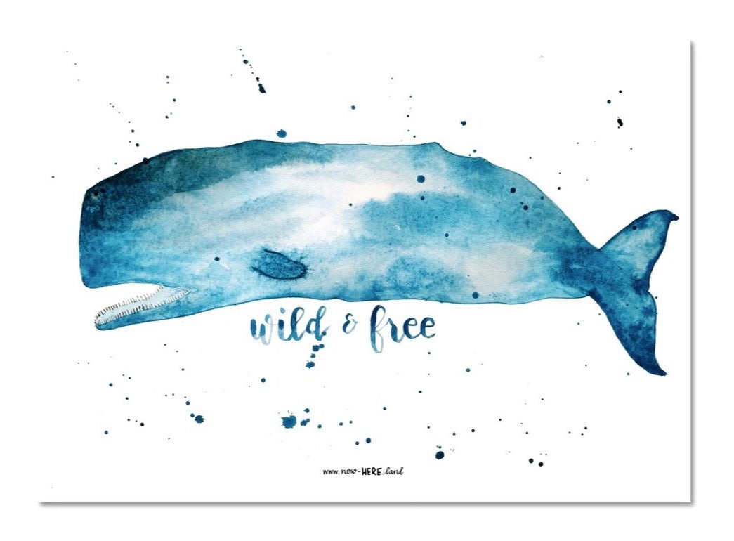 Wild and Free //  Fine Art Print