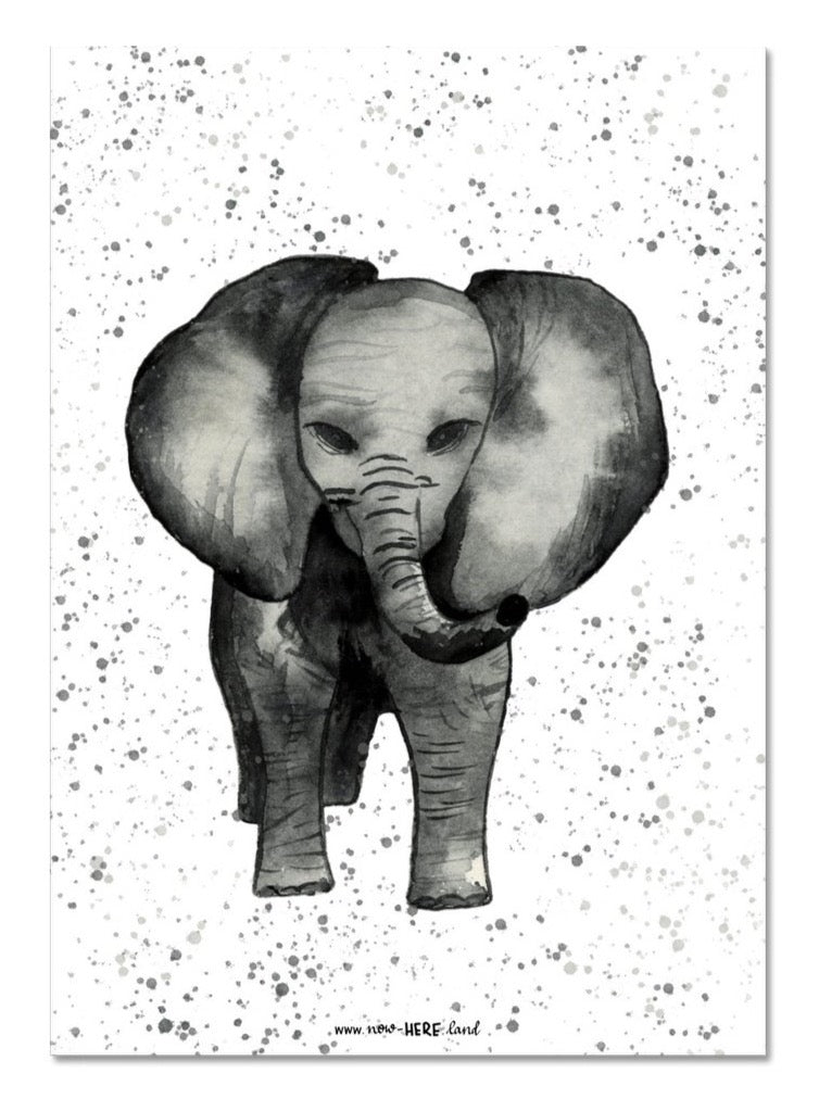 The Elephant // Fine Art Print