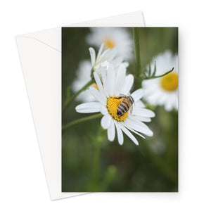 Busy Bee // Greeting Card